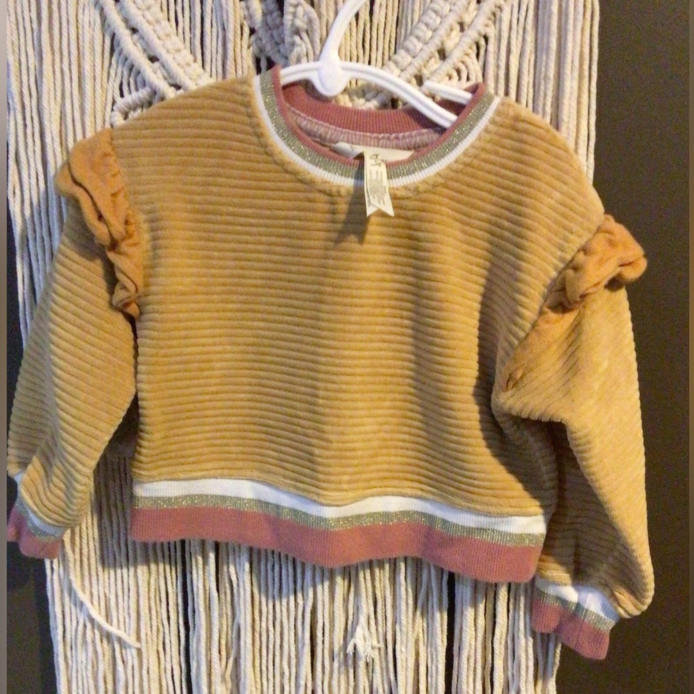 Girls size 2 velour shirt by Matilda Jane